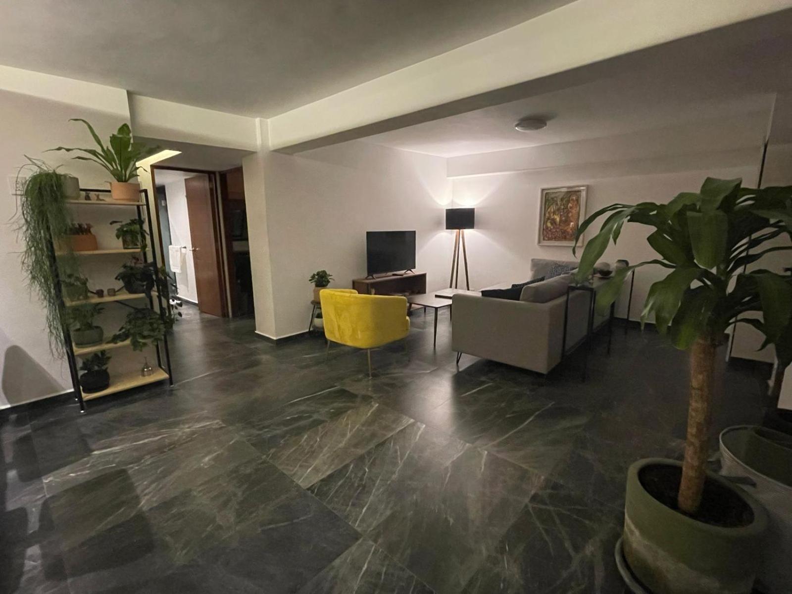 Great In The Heart Of Coyoacan * Mexico City