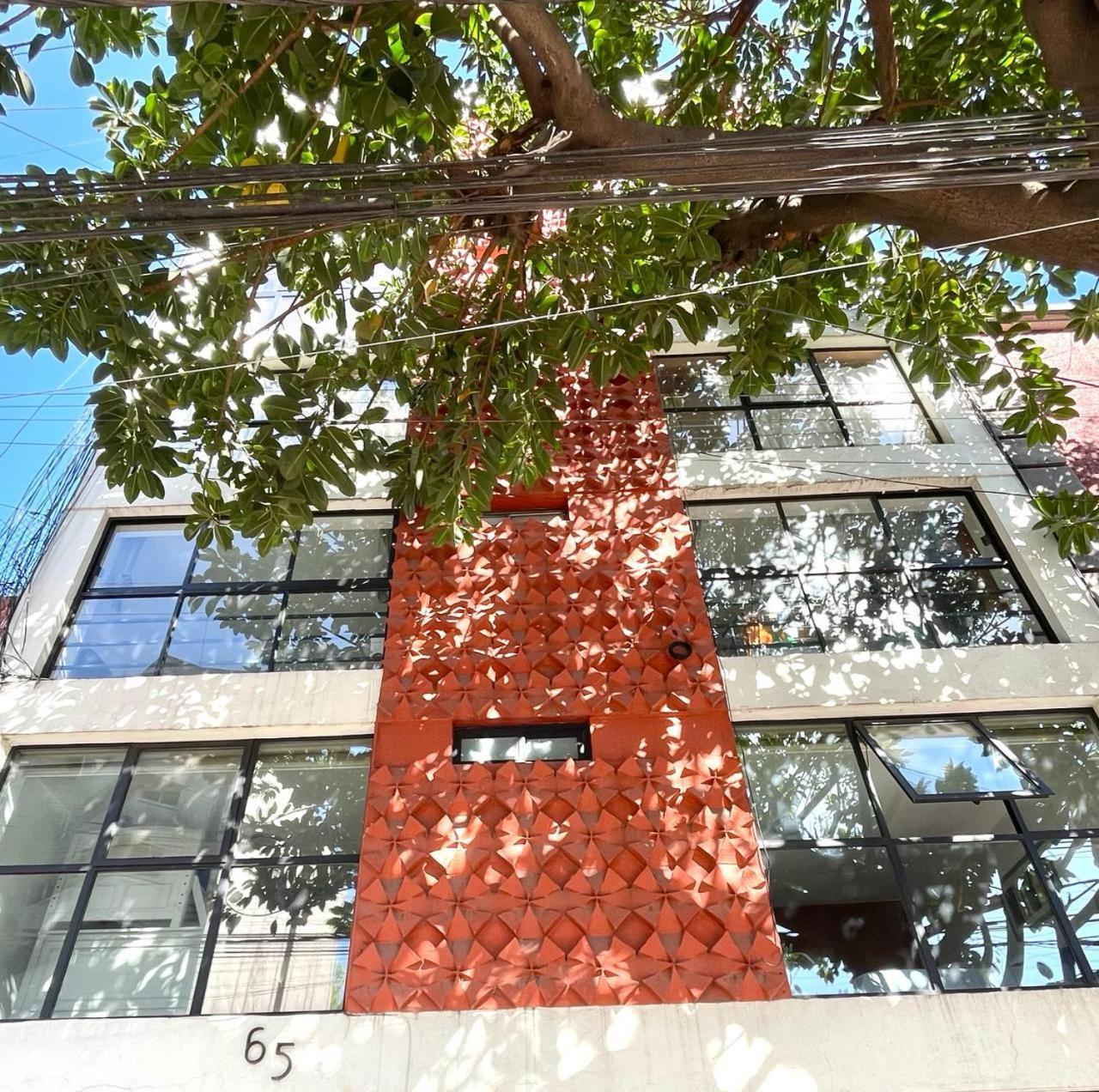 Great In The Heart Of Coyoacan * Mexico City